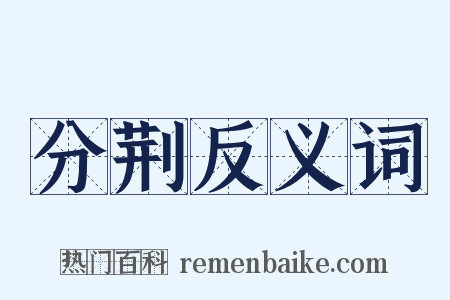 分荆反义词是什么意思的图片